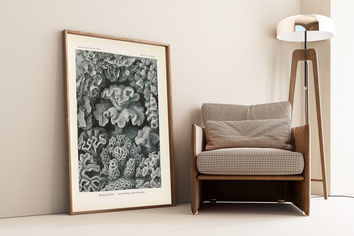 Ernst Haeckel — Kunstformen der Natur, Plate 69: Hexacoralla | Scientific Illustration Print