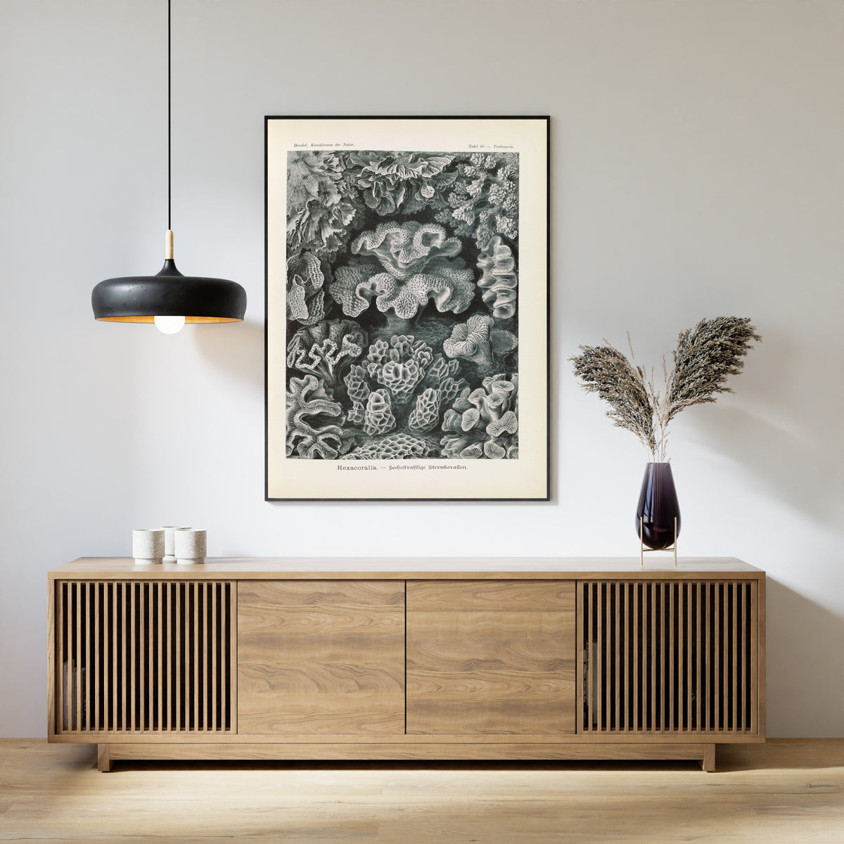 Ernst Haeckel — Kunstformen der Natur, Plate 69: Hexacoralla | Scientific Illustration Print