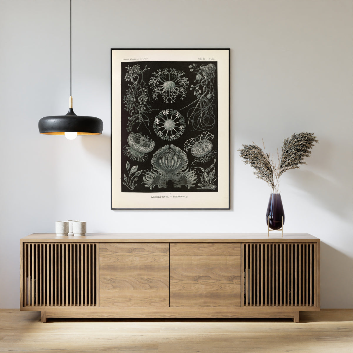 Ernst Haeckel — Kunstformen der Natur, Plate 73: Ascomycetes | Scientific Illustration Print