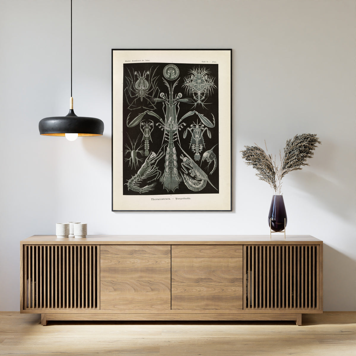 Ernst Haeckel — Kunstformen der Natur, Plate 76: Thoracostraca | Scientific Illustration Print