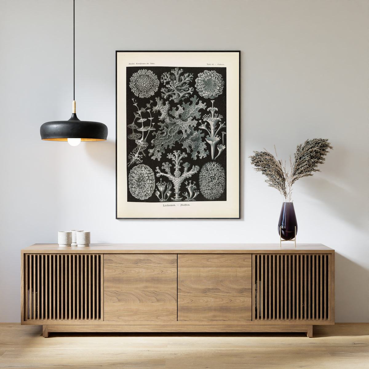 Ernst Haeckel — Kunstformen der Natur, Plate 83: Lichenes | Scientific Illustration Print