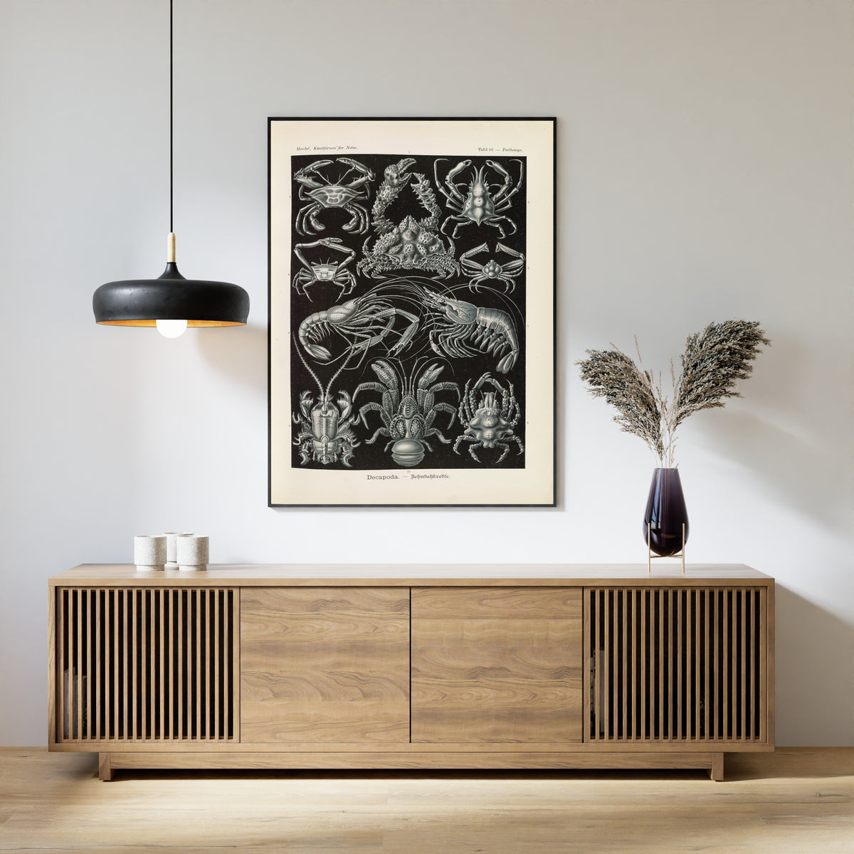 Ernst Haeckel — Kunstformen der Natur, Plate 86: Decapoda | Scientific Illustration Print