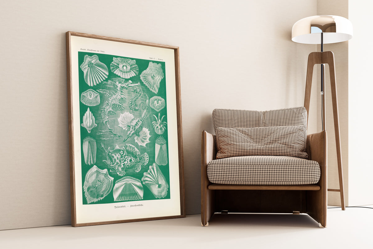 Ernst Haeckel — Kunstformen der Natur, Plate 87: Teleostei | Scientific Illustration Print