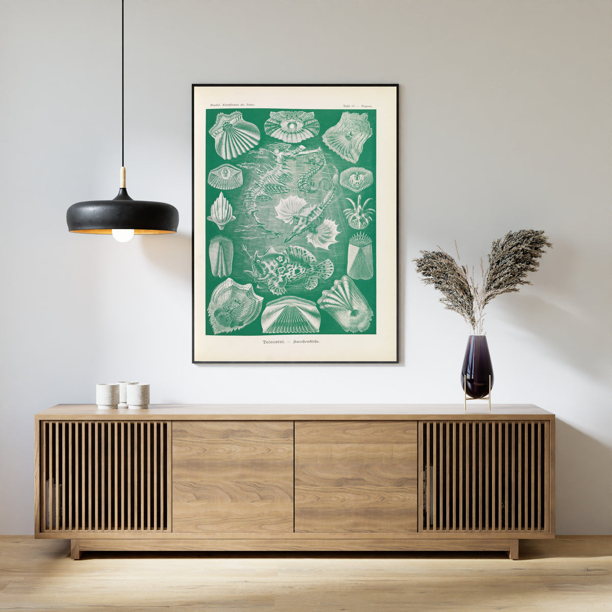 Ernst Haeckel — Kunstformen der Natur, Plate 87: Teleostei | Scientific Illustration Print