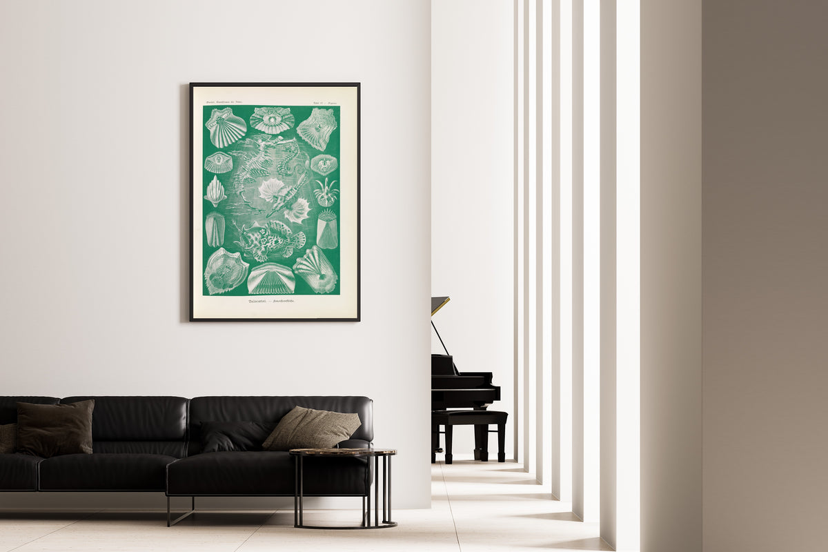 Ernst Haeckel — Kunstformen der Natur, Plate 87: Teleostei | Scientific Illustration Print
