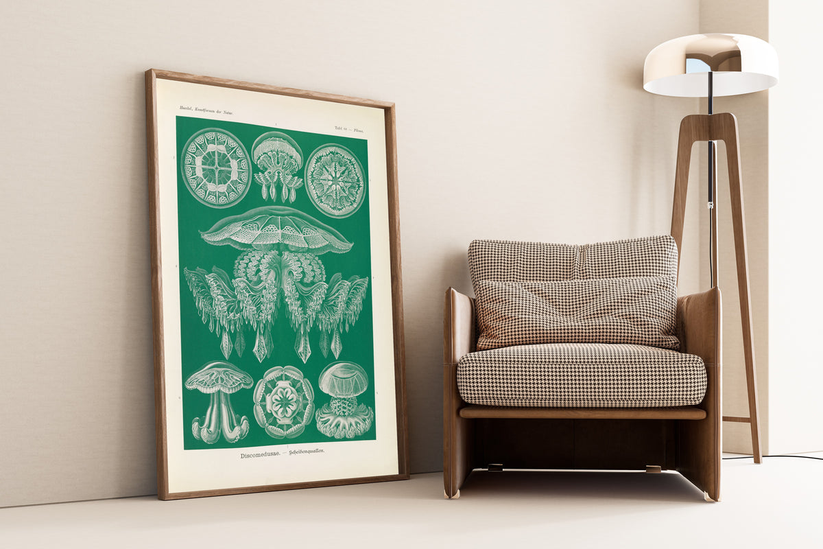 Ernst Haeckel — Kunstformen der Natur, Plate 88: Discomedusae | Scientific Illustration Print