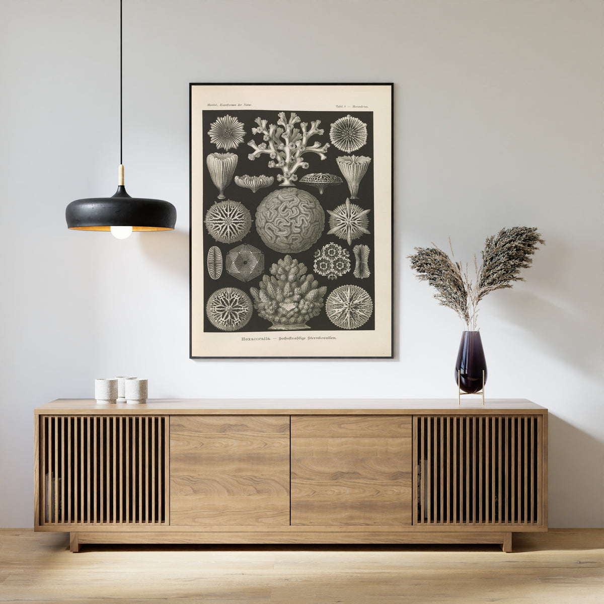 Ernst Haeckel — Kunstformen der Natur, Plate 9: Hexacoralla | Scientific Illustration Print