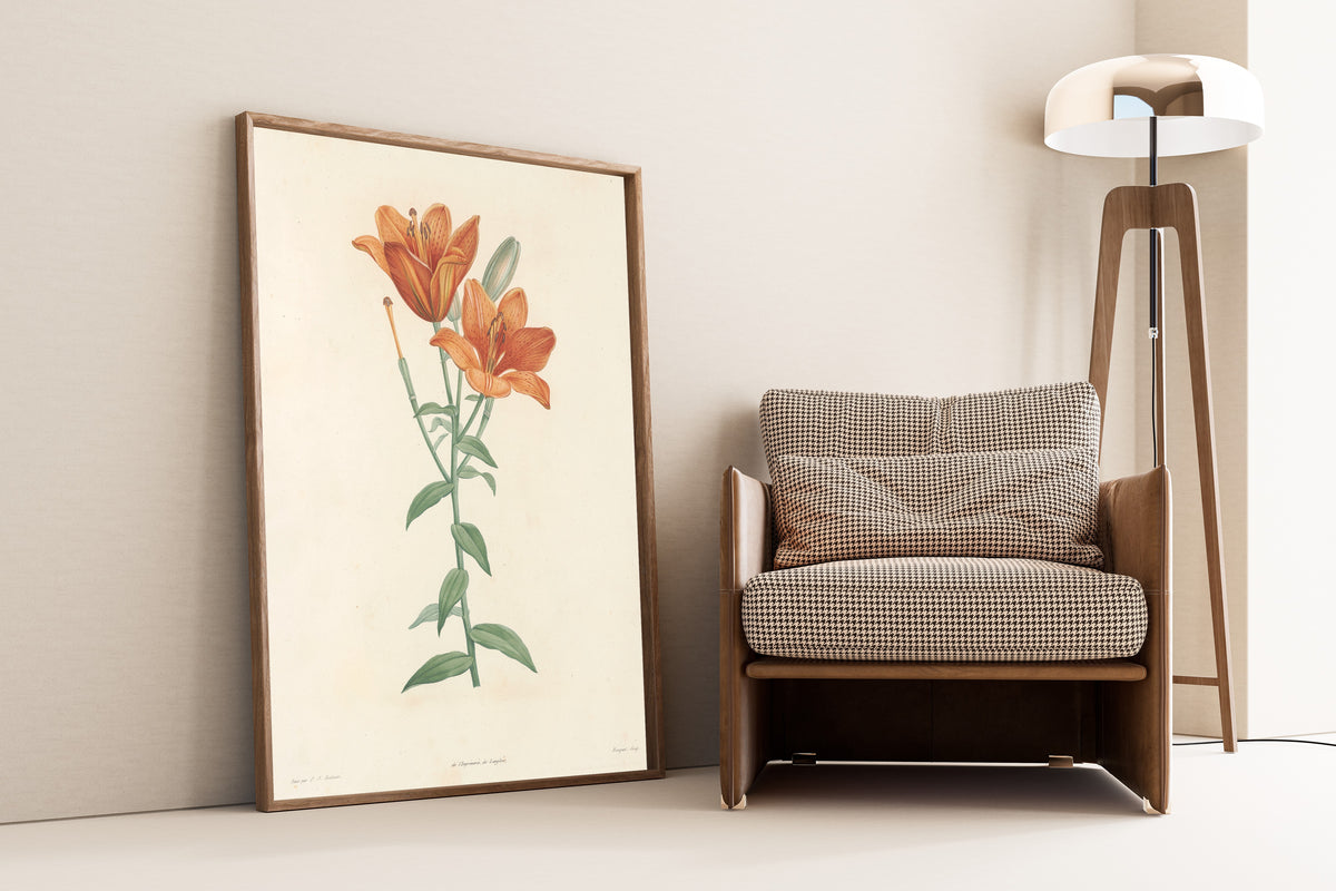 Pierre-Joseph Redouté — La Botanique de J. J. Rousseau, Plate 1: Orange Lily | Botanical Illustration Print