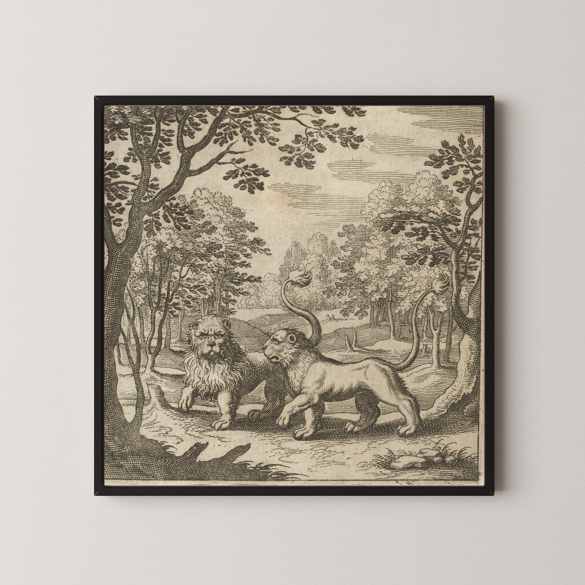 Framed art print of Lambsprinck, De Lapide Philosophico: Figure 4, the Lion and the Lioness by Matthäus Merian, in a black frame on a pale wall
