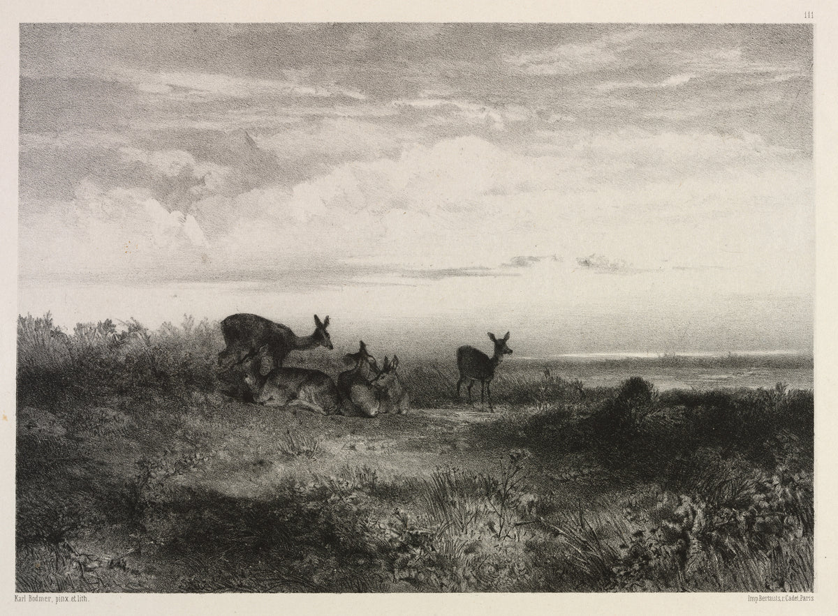 Karl Bodmer — Landscape with Deer | Fine Art Print