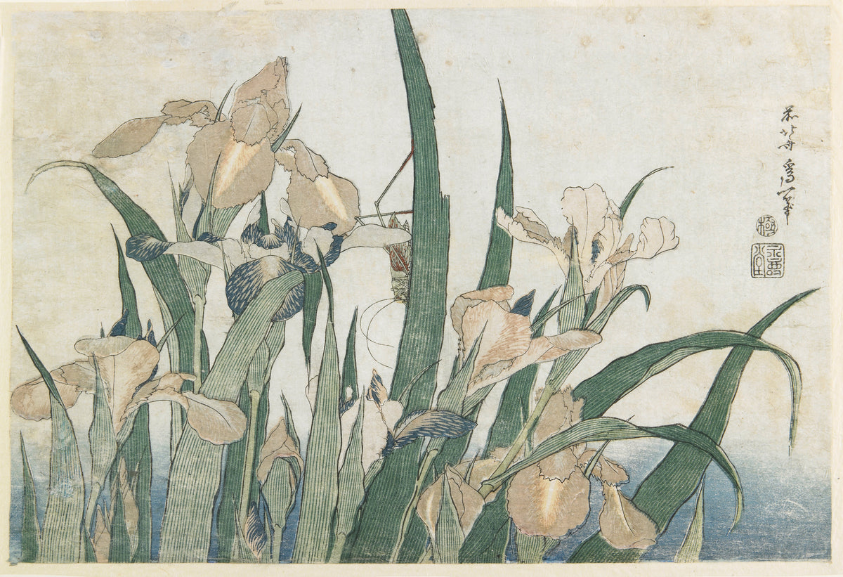 Katsushika Hokusai — Large Flowers: Irises and Grasshopper | Japanese Woodblock Print (Ukiyo-e)