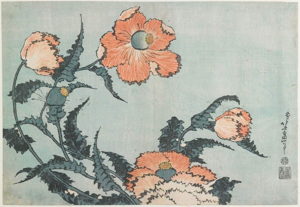 Katsushika Hokusai — Large Flowers: Poppies | Japanese Woodblock Print (Ukiyo-e)