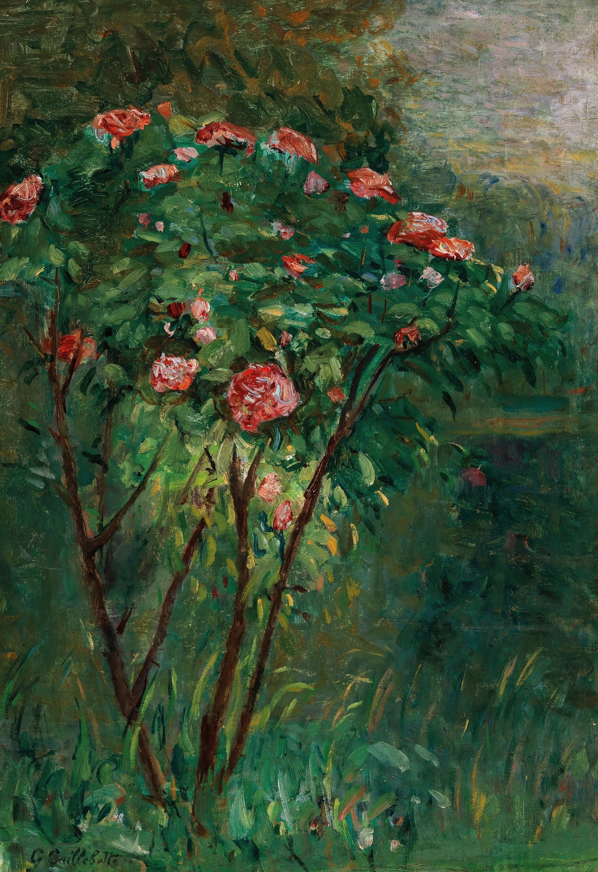 Gustave Caillebotte — Le Rosier fleuri (The Flowering Rosebush) | Fine Art Print