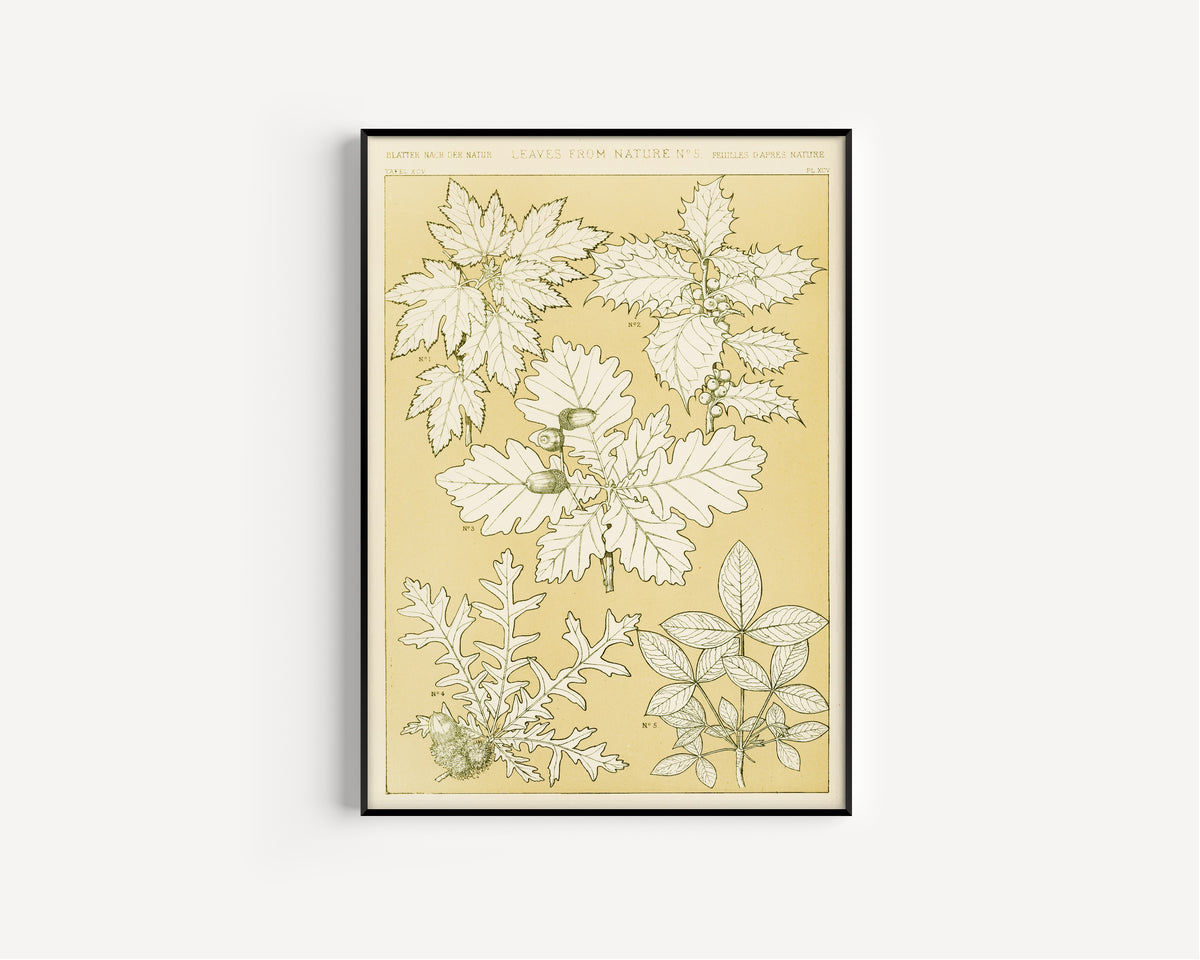 Owen Jones — Leaves from Nature No. 5 | Grammar of Ornament Design Print