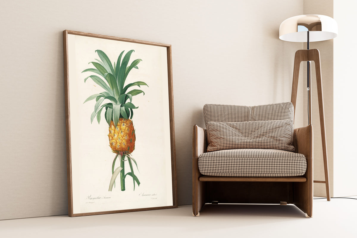Pierre-Joseph Redouté — Les Liliacées: Bromelia Ananas (Pineapple) | Botanical Illustration Print