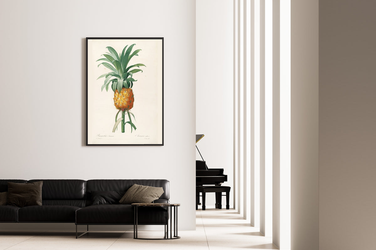 Pierre-Joseph Redouté — Les Liliacées: Bromelia Ananas (Pineapple) | Botanical Illustration Print