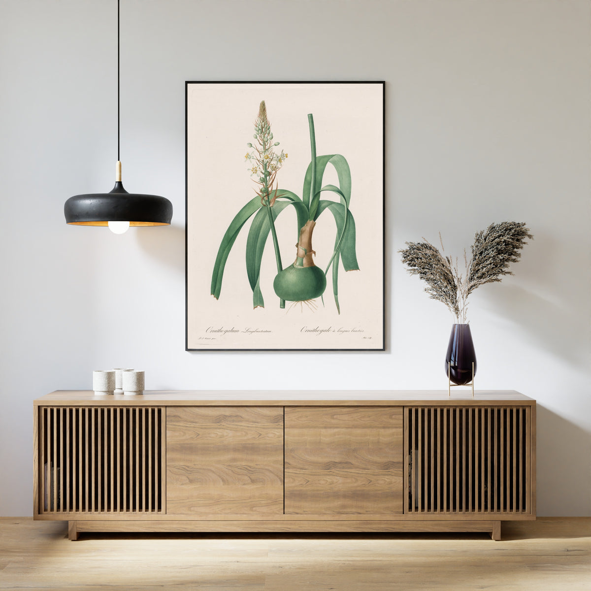 Framed art print of Les Liliacées: Ornithogalum longibracteatum by Pierre-Joseph Redouté, above a slatted wood sideboard