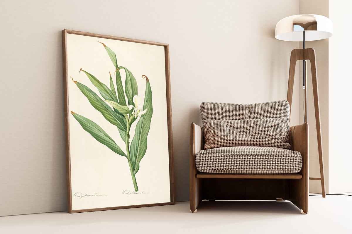 Framed art print of Les Liliacées, Plate 16: Hedychium Coronarium by Pierre-Joseph Redouté, leaning against a wall beside an armchair and a floor lamp
