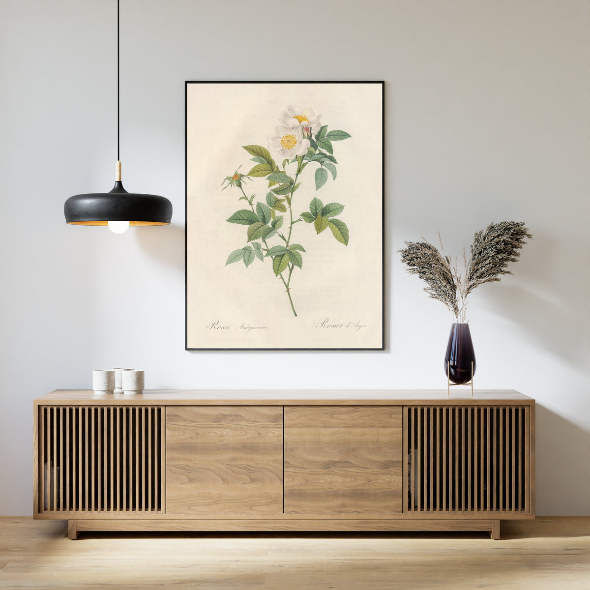 Framed art print of Les Roses: Rosa Andegavensis by Pierre-Joseph Redouté, above a slatted wood sideboard
