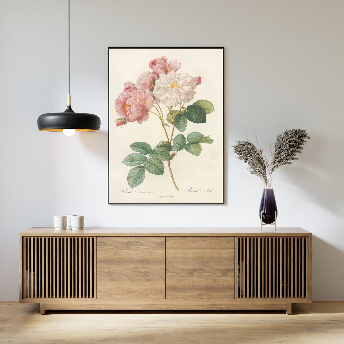 Pierre-Joseph Redouté — Les Roses: Rosa Damascena (Rosier de Cels) | Botanical Illustration Print
