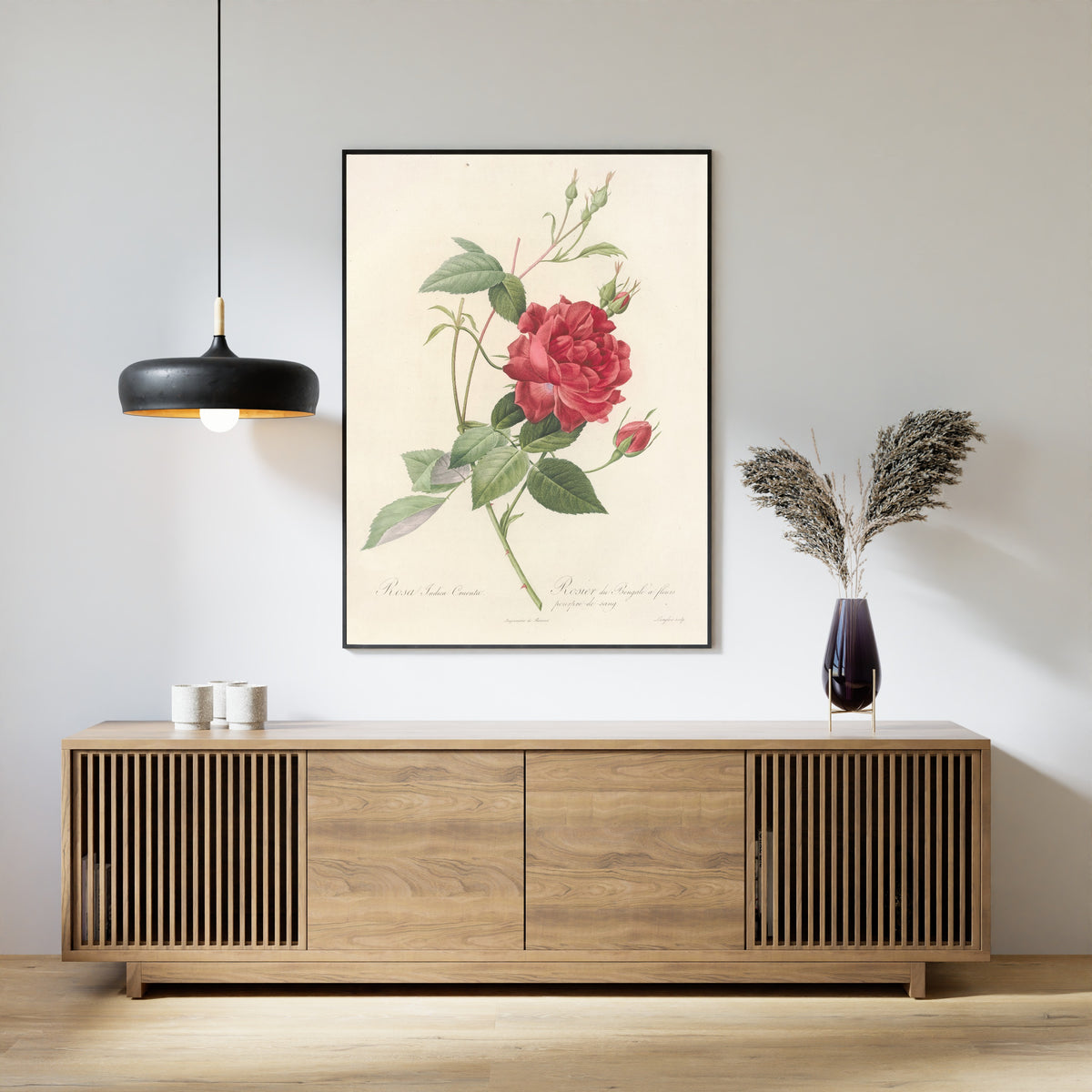 Pierre-Joseph Redouté — Les Roses: Rosa Indica Cruenta | Botanical Illustration Print