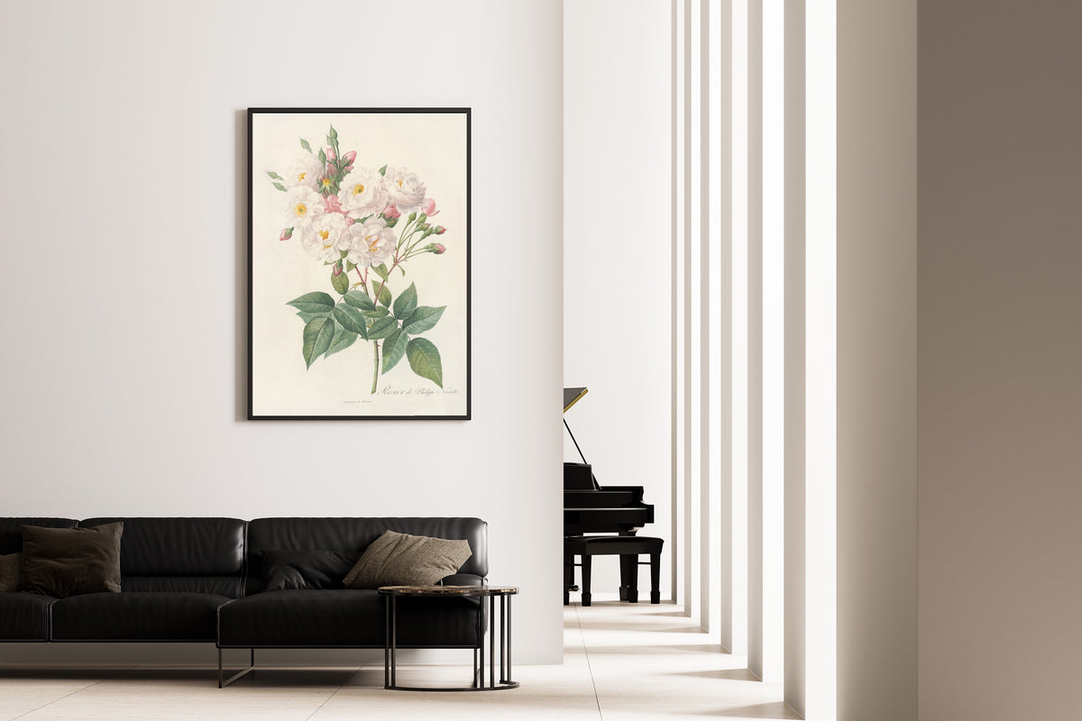 Framed art print of Les Roses: Rosa Noisettiana by Pierre-Joseph Redouté, on the wall of a minimal living room