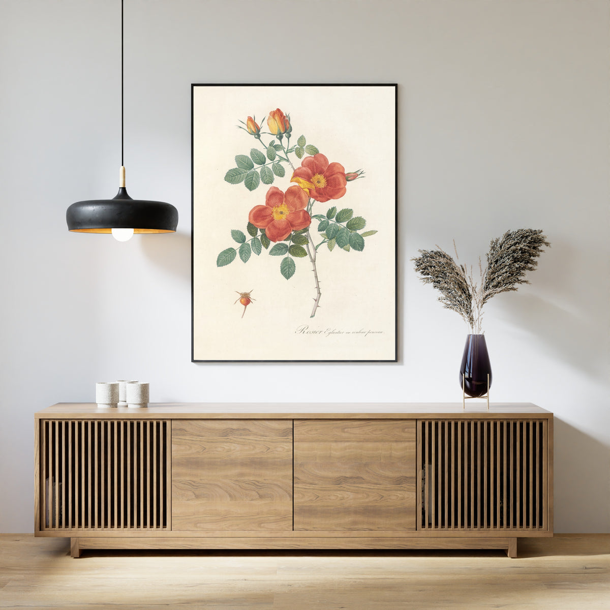 Pierre-Joseph Redouté — Les Roses: Rosier Églantier var. couleur ponceau | Botanical Illustration Print