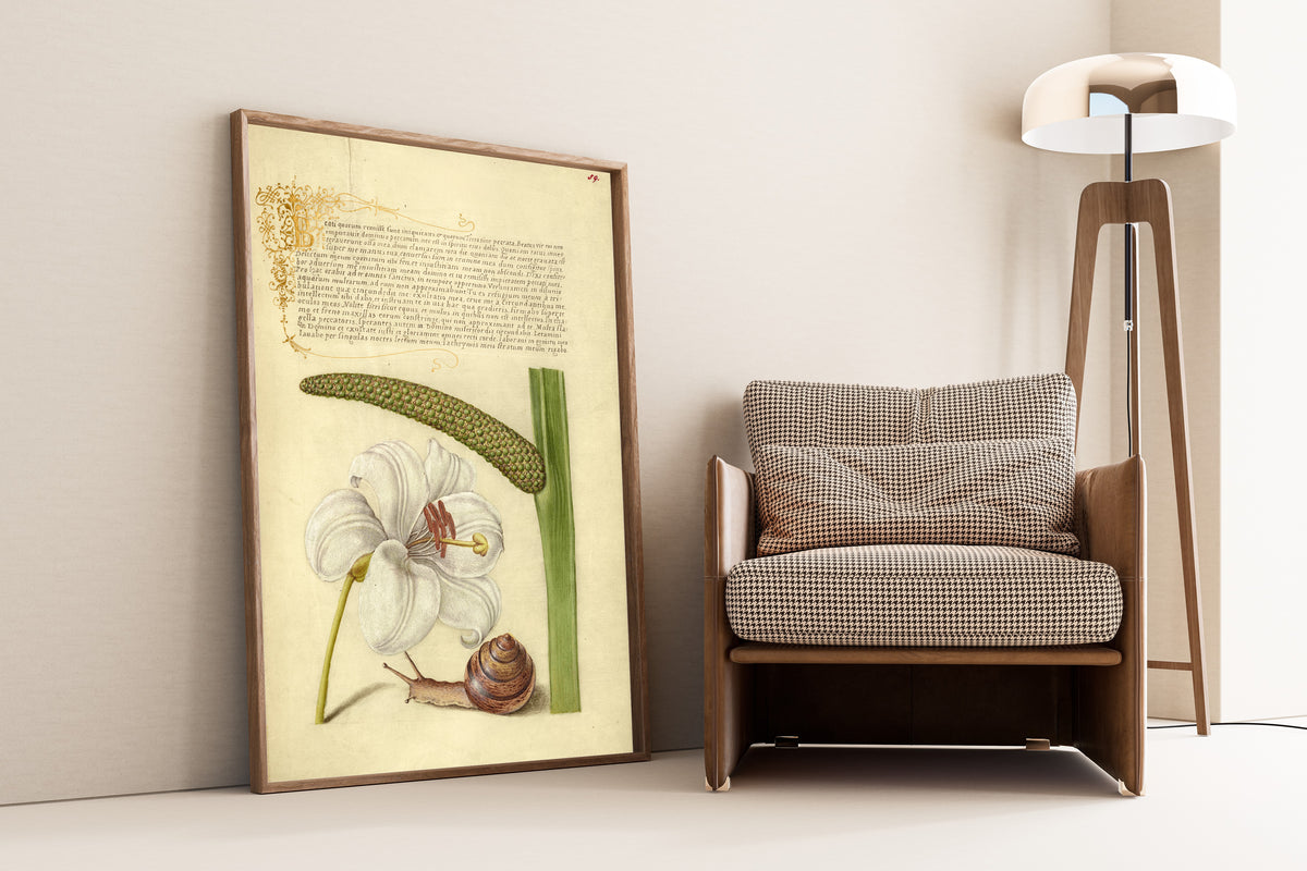 Joris Hoefnagel — Madonna Lily, Terrestrial Mollusk, and Sweet Flag | Botanical Calligraphy Print