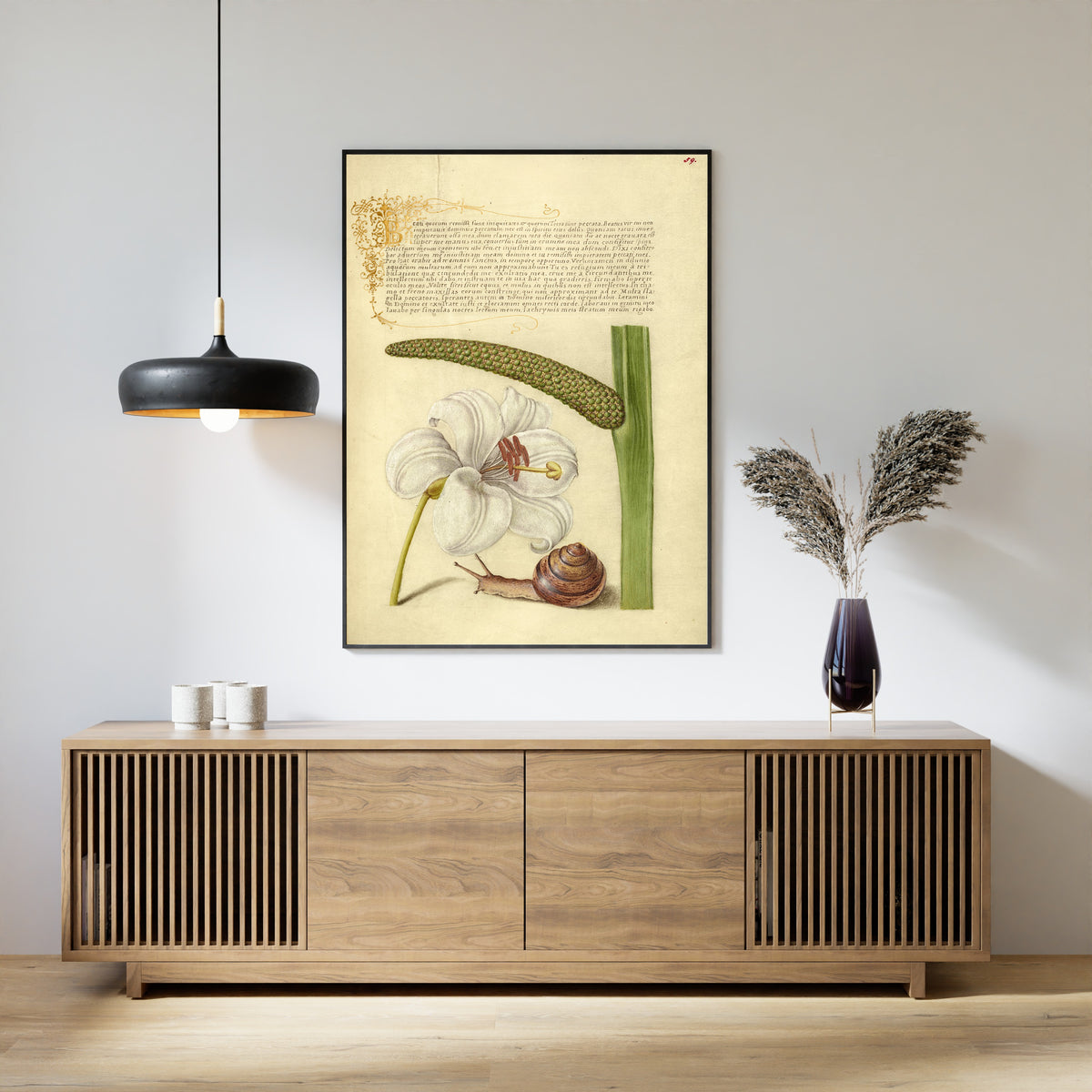Joris Hoefnagel — Madonna Lily, Terrestrial Mollusk, and Sweet Flag | Botanical Calligraphy Print