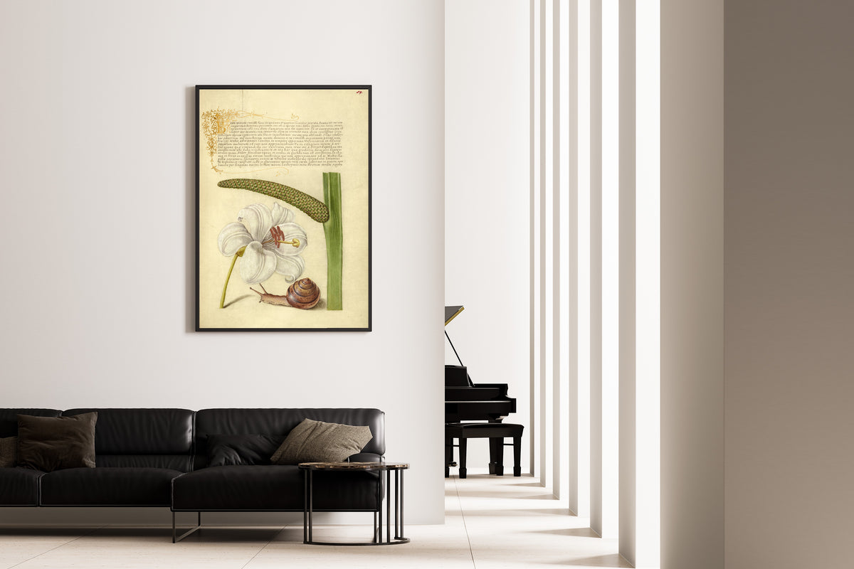 Joris Hoefnagel — Madonna Lily, Terrestrial Mollusk, and Sweet Flag | Botanical Calligraphy Print