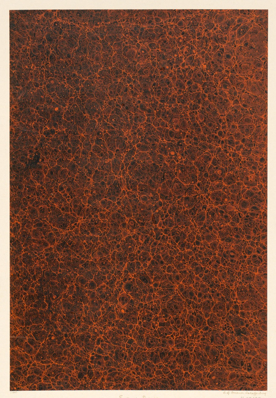 Historic Surface Studies | Graphik Paper Archive (Trade Collection)