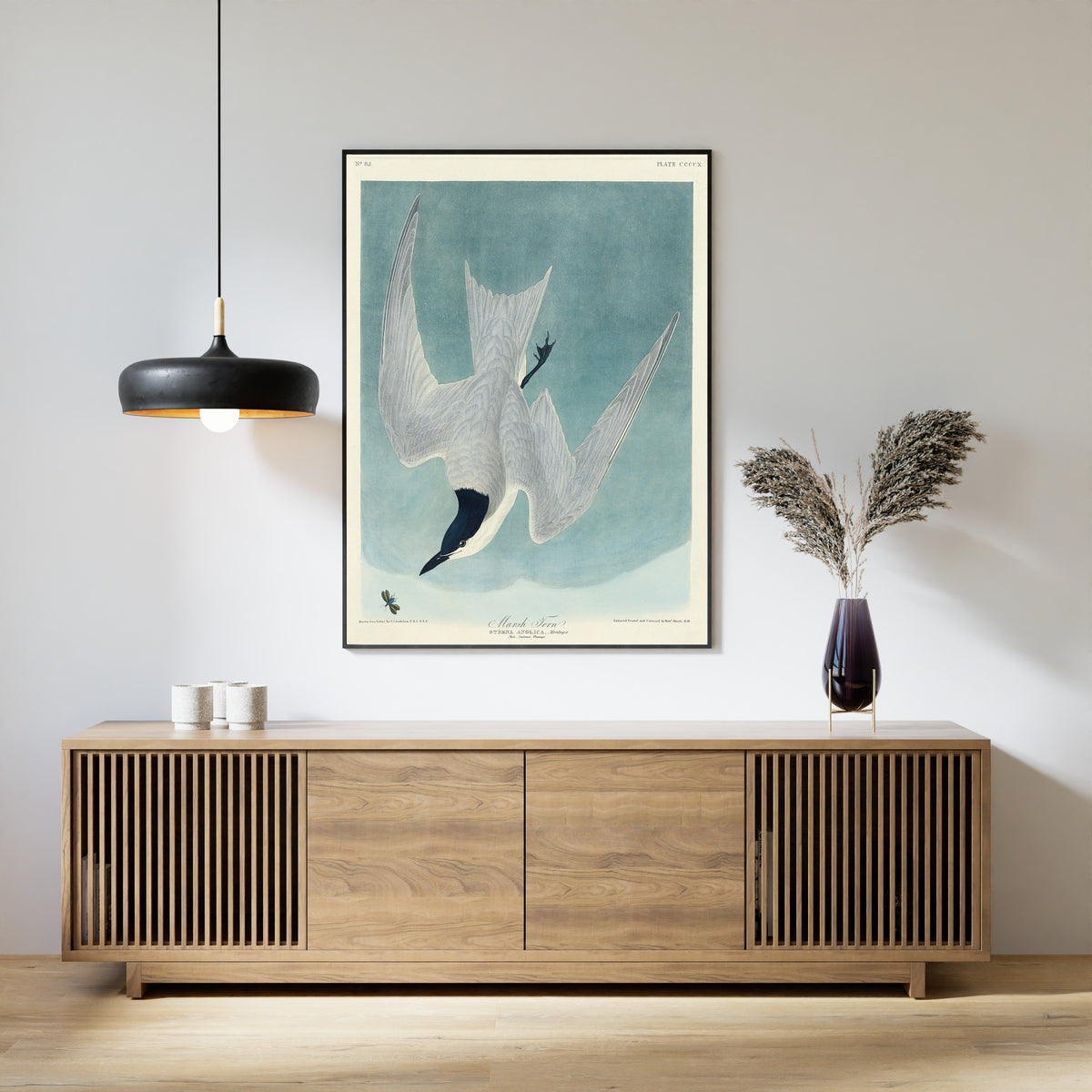 John James Audubon — Marsh Tern | Natural History Print