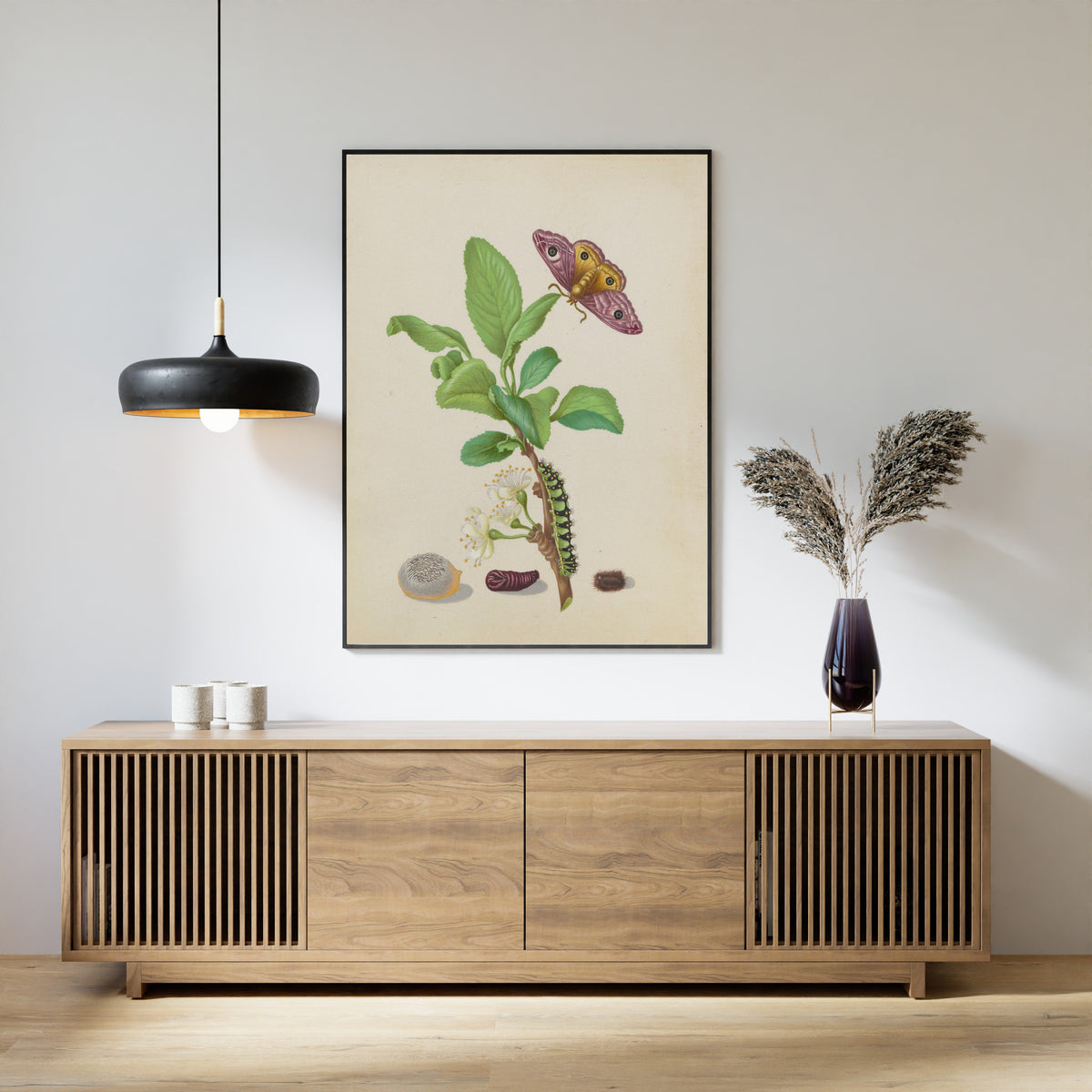 Framed art print of Metamorphosis of a Small Emperor Moth on a Damson Plum, plate 13 of the… by Maria Sibylla Merian, above a slatted wood sideboard