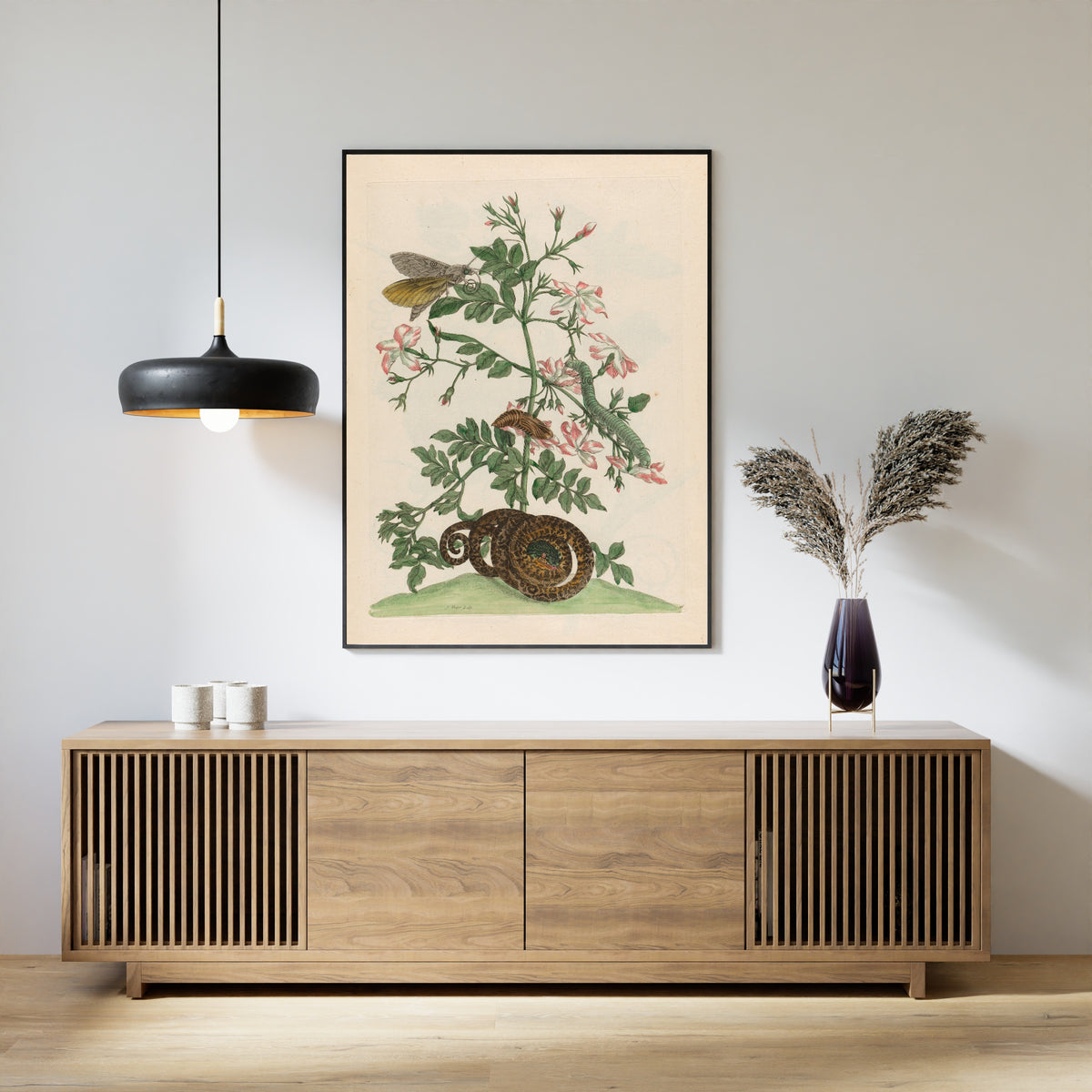 Framed art print of Metamorphosis of the Insects of Surinam: Jasminum grandiflorum by Maria Sibylla Merian, above a slatted wood sideboard