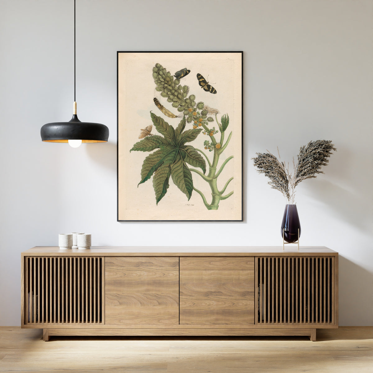 Framed art print of Metamorphosis of the Insects of Surinam: Palma Christi by Maria Sibylla Merian, above a slatted wood sideboard