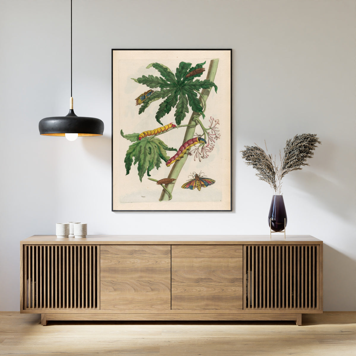 Framed art print of Metamorphosis of the Insects of Surinam: Papay by Maria Sibylla Merian, above a slatted wood sideboard