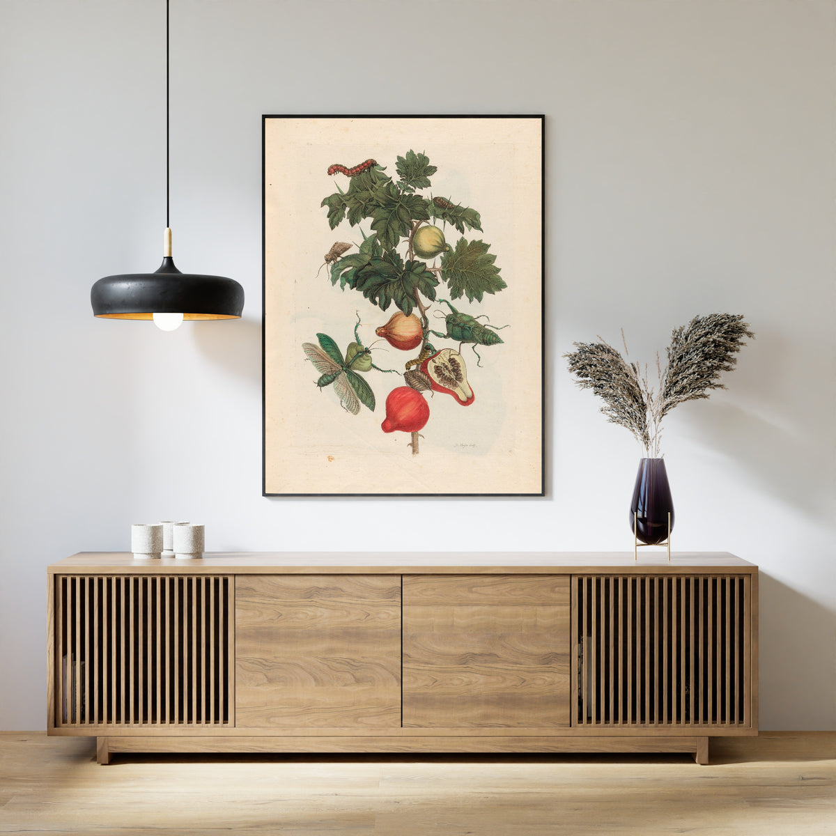 Framed art print of Metamorphosis of the Insects of Surinam: Pomme de Sodome by Maria Sibylla Merian, above a slatted wood sideboard