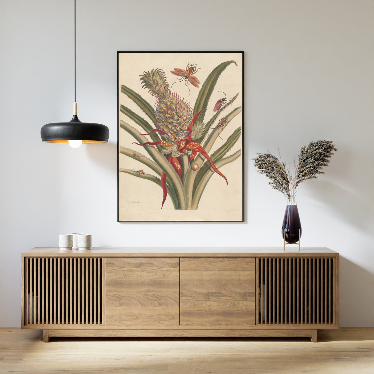 Maria Sibylla Merian — Metamorphosis of the Insects of Surinam, Plate 2: Pineapple and Cockroaches | Natural History Print
