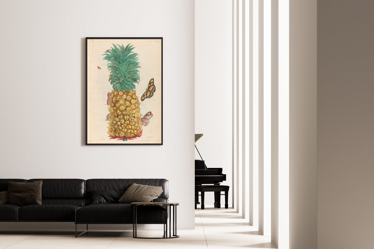 Maria Sibylla Merian — Metamorphosis of the Insects of Surinam, Plate 2: Ripe Pineapple with Butterflies | Natural History Print