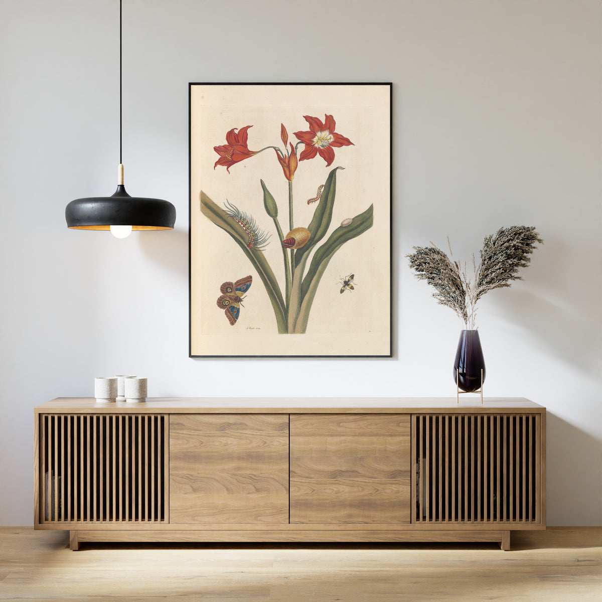 Maria Sibylla Merian — Metamorphosis of the Insects of Surinam, Plate 22: Red Lily and Moth | Natural History Print