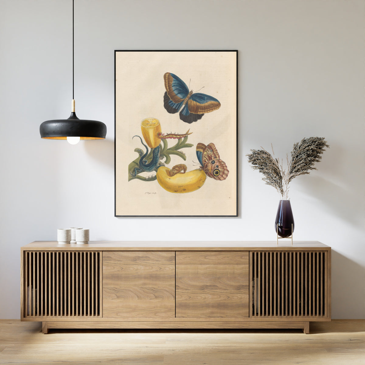 Maria Sibylla Merian — Metamorphosis of the Insects of Surinam, Plate 23: Banana with Butterflies and a Lizard | Natural History Print