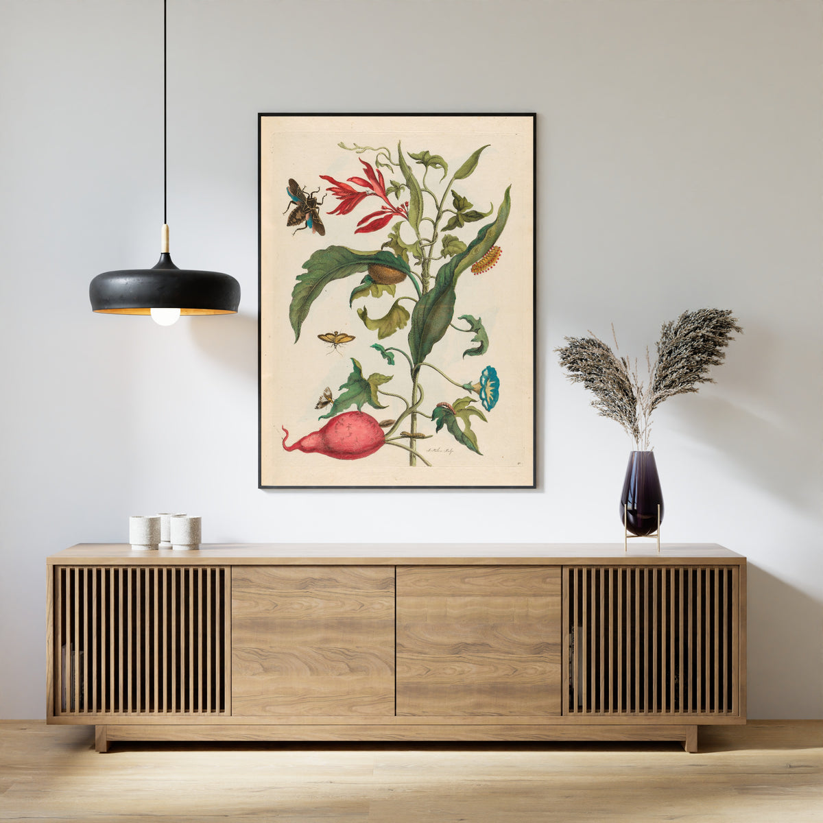 Maria Sibylla Merian — Metamorphosis of the Insects of Surinam, Plate 41: Sweet Potato and Heliconia | Natural History Print