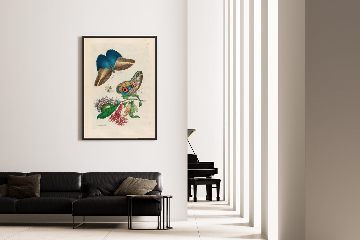 Maria Sibylla Merian — Metamorphosis of the Insects of Surinam, Plate 60: Butterflies, Caterpillar and Red Flower Spike | Natural History Print