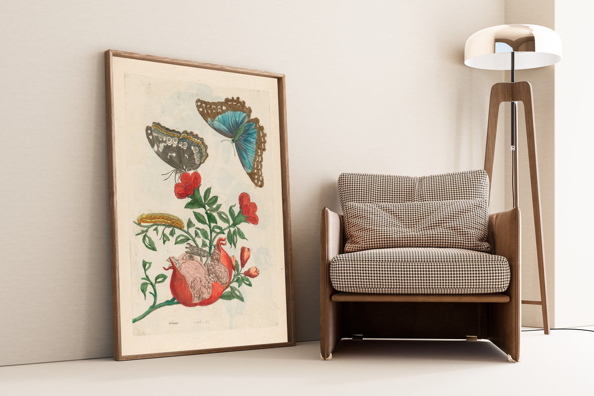 Maria Sibylla Merian — Metamorphosis of the Insects of Surinam, Plate 9: Pomegranate and Blue Morpho | Natural History Print
