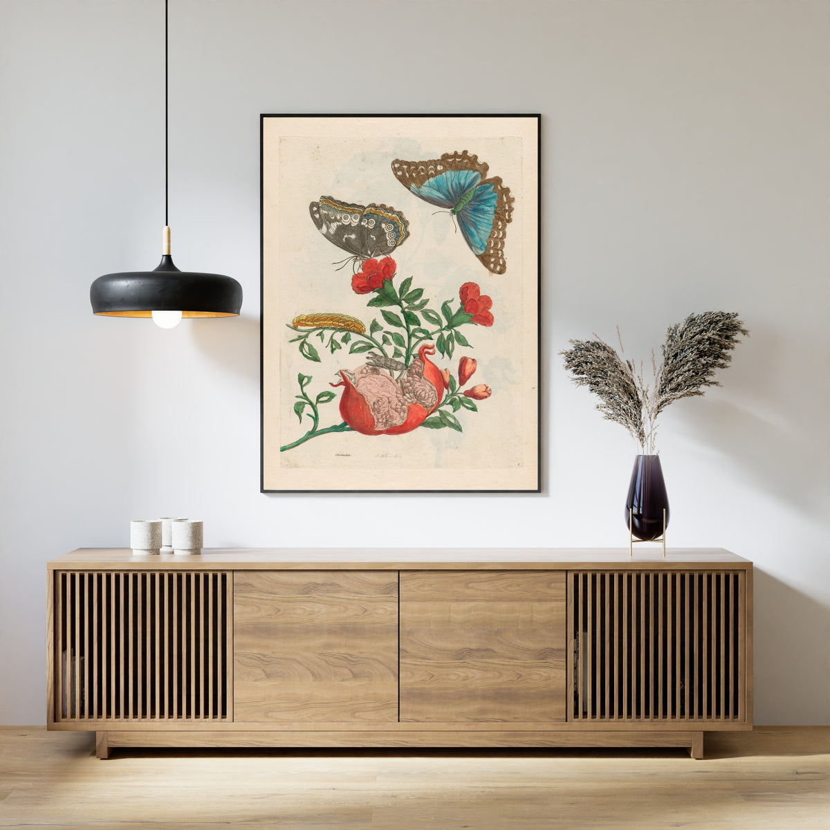 Maria Sibylla Merian — Metamorphosis of the Insects of Surinam, Plate 9: Pomegranate and Blue Morpho | Natural History Print