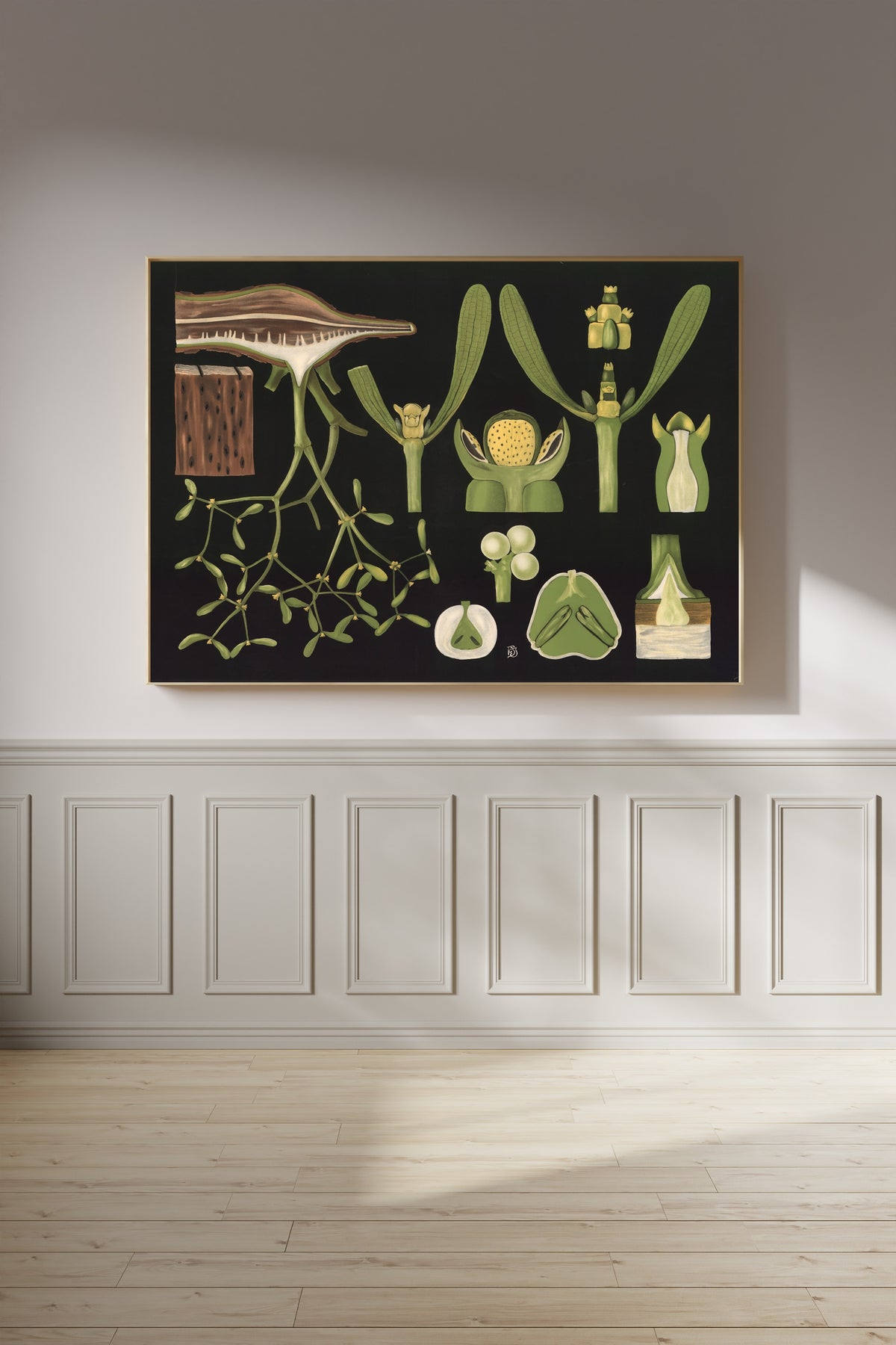 Gottlieb von Koch — Mistletoe (Viscum album) | Botanical Illustration Print