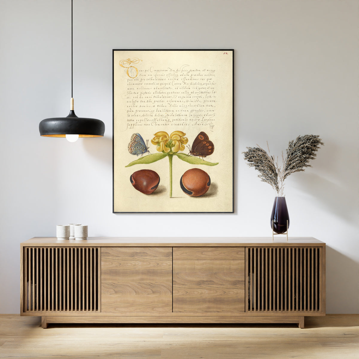 Joris Hoefnagel — Moths, Jerusalem Sage, and Beans | Botanical Calligraphy Print