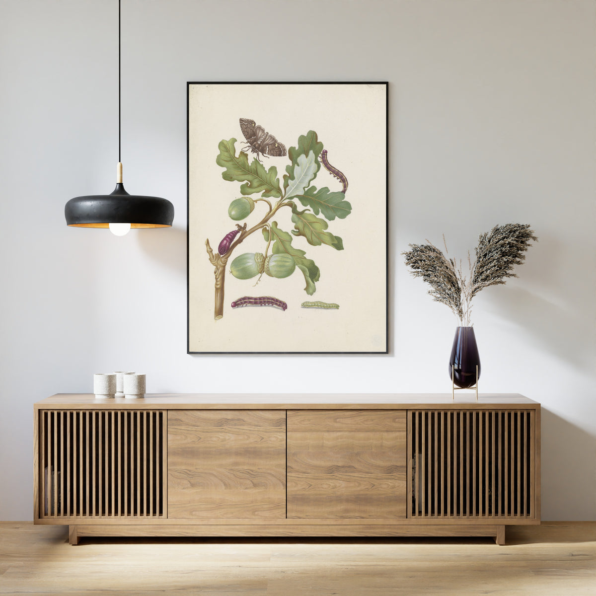 Framed art print of Oak branch with owlet moth, caterpillars and pupa by Maria Sibylla Merian, above a slatted wood sideboard