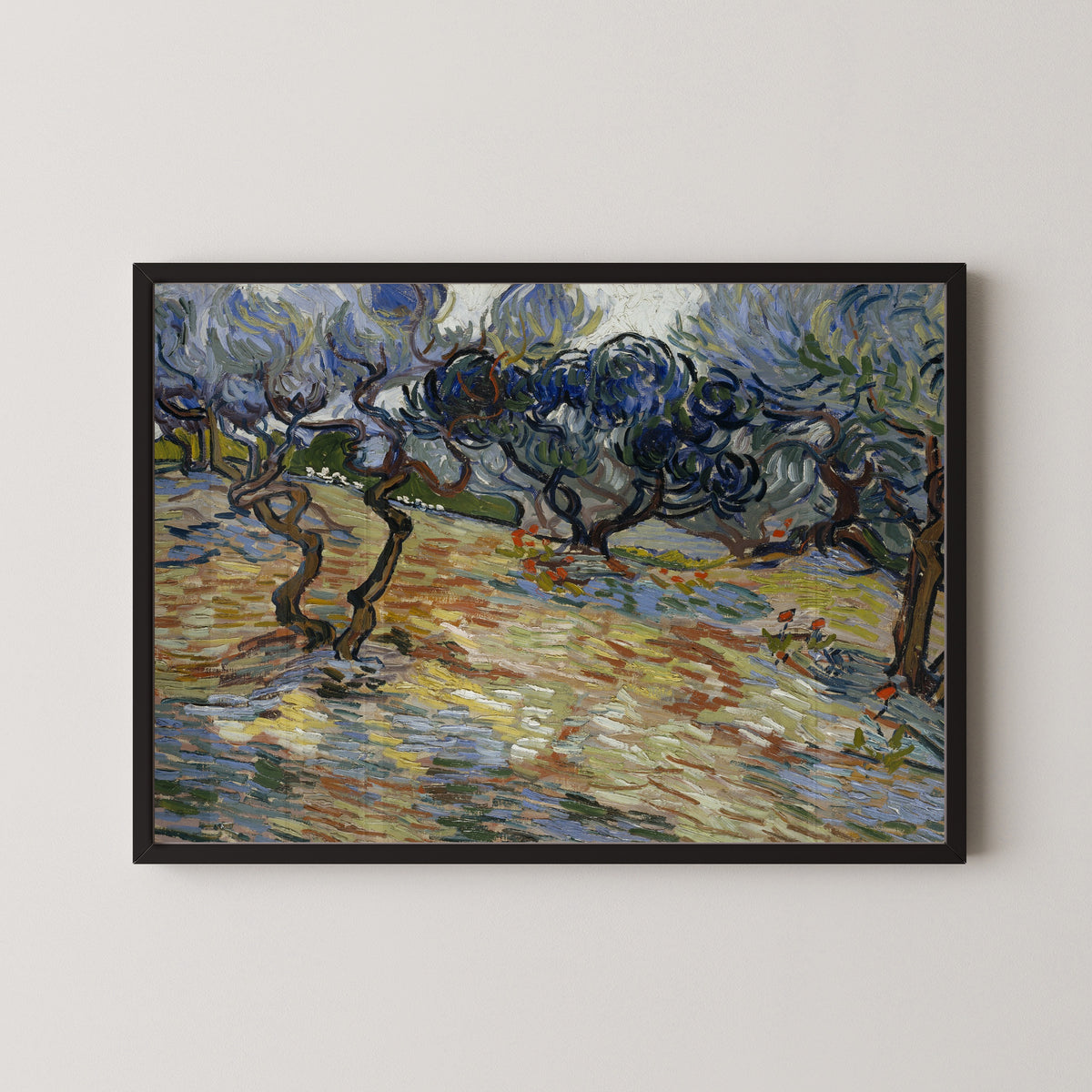 Vincent van Gogh — Olive Trees | Fine Art Print