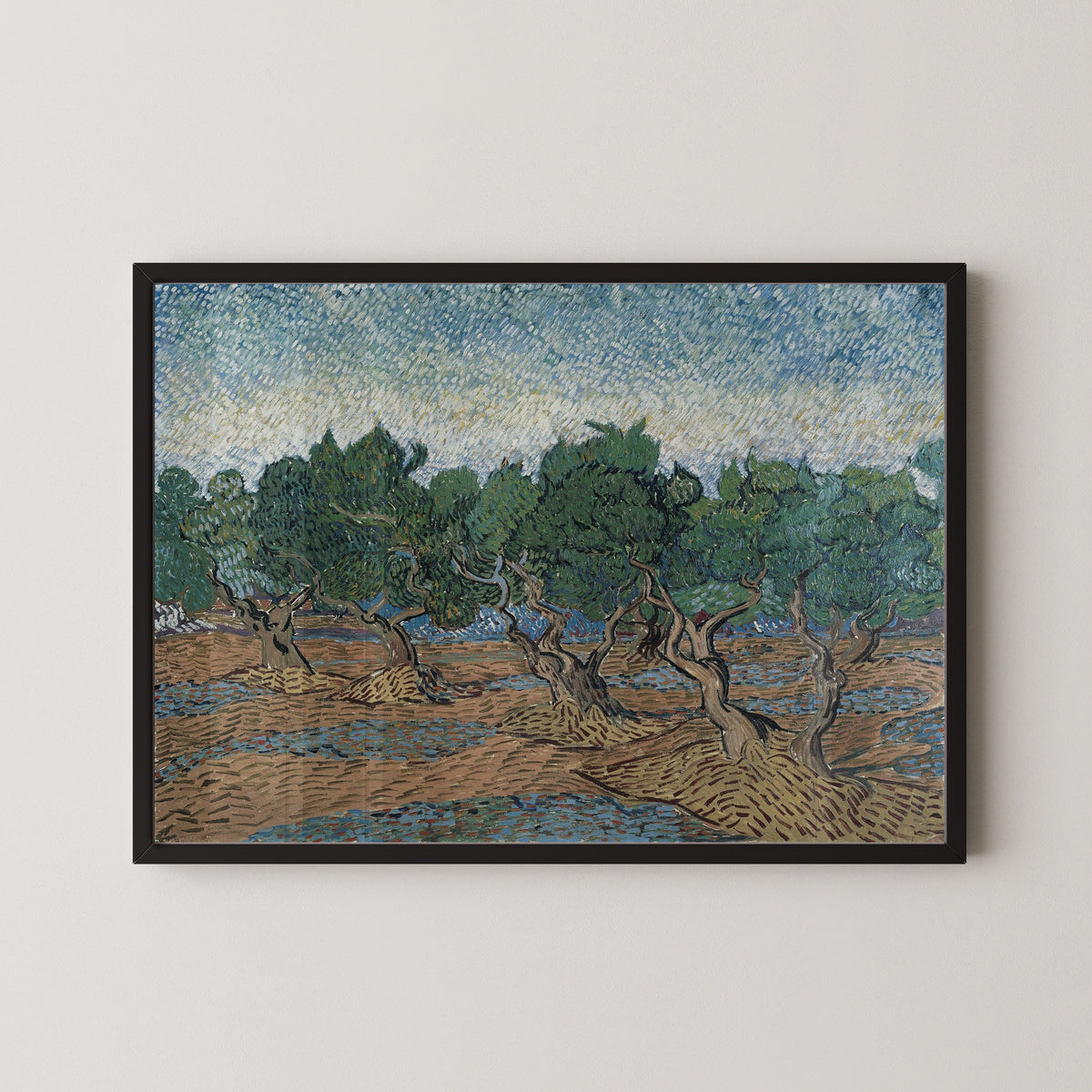 Vincent van Gogh — Olive Grove | Fine Art Print